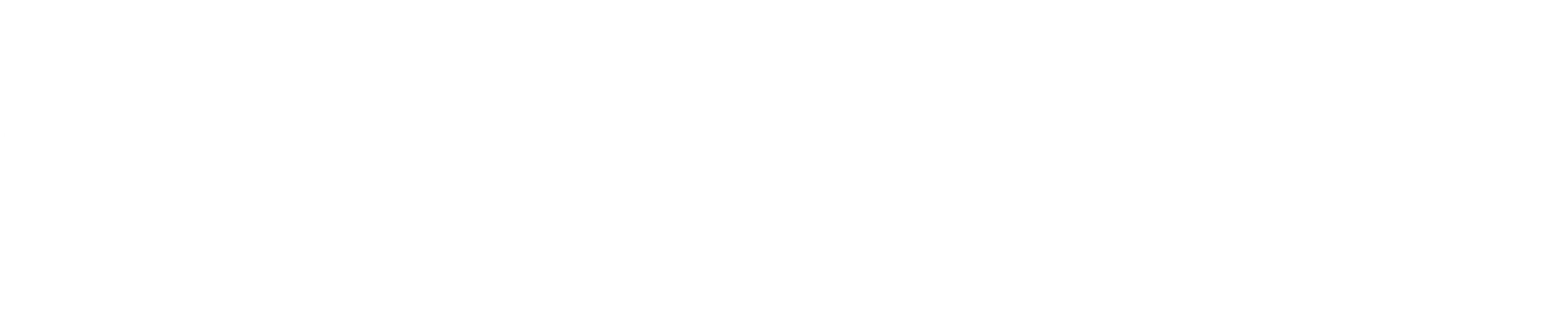 The Timing Team logo